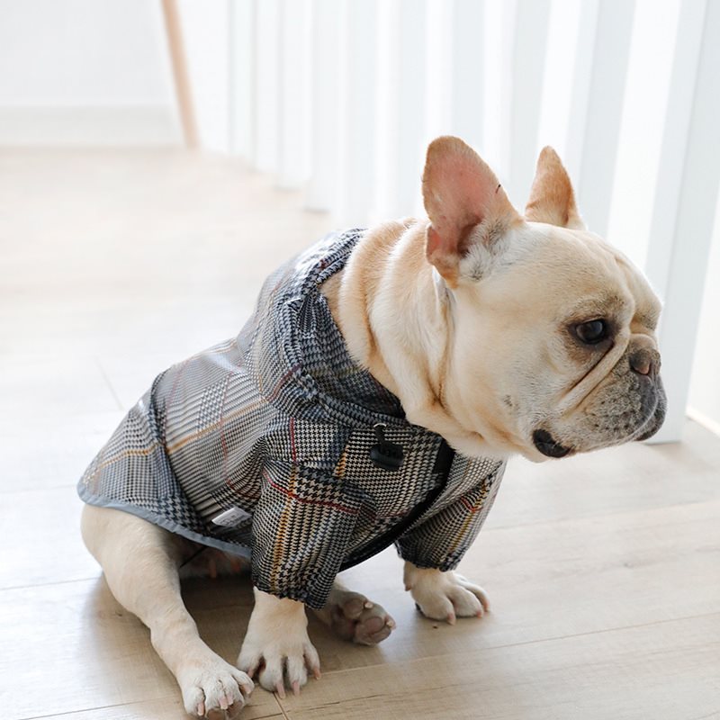 Dog raincoat