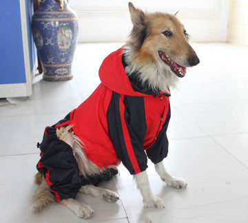 Large dog pet raincoat