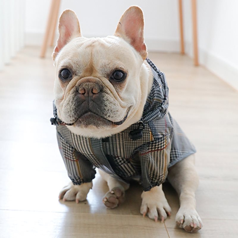 Dog raincoat