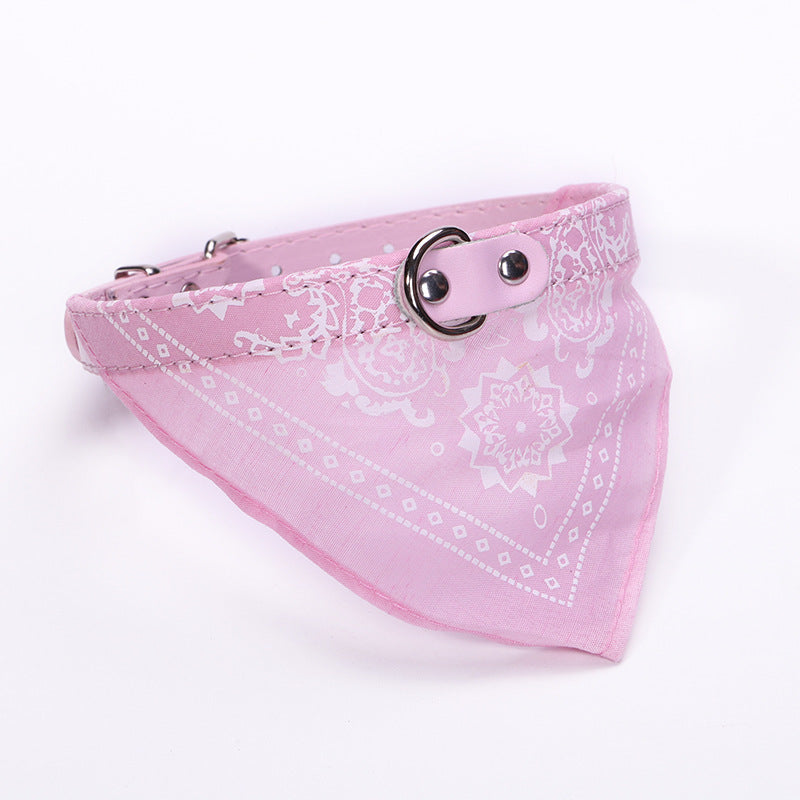 Dog Collar With Scarf