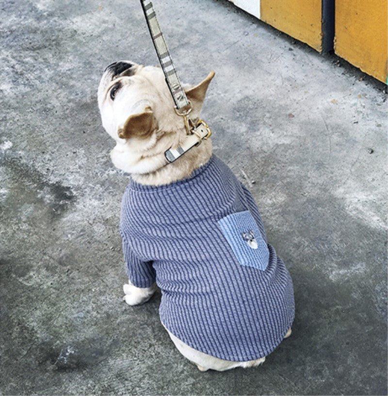 Embroidered dog T-shirt with pocket