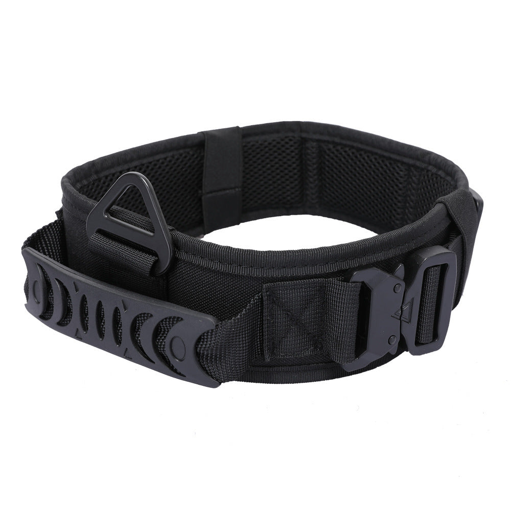 Quick Release Metal Buckle Outdoor Dog collar