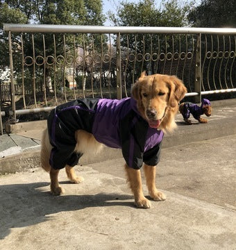 Large dog pet raincoat