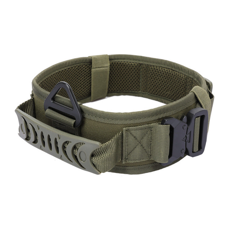 Quick Release Metal Buckle Outdoor Dog collar