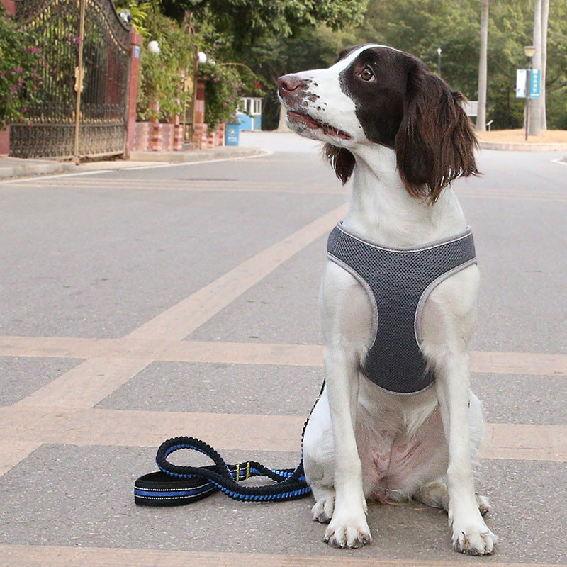 Dog harness