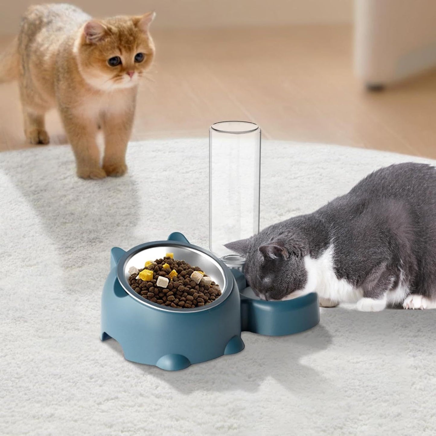 Cat Food And Water Bowl Set