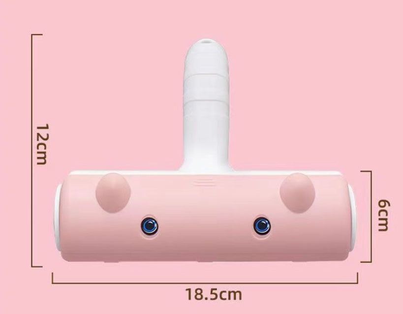 Two-way Pet Hair Remover