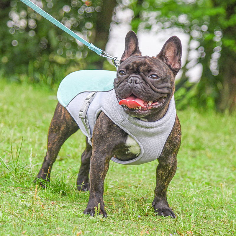 Breathable outdoor Cooling Vest