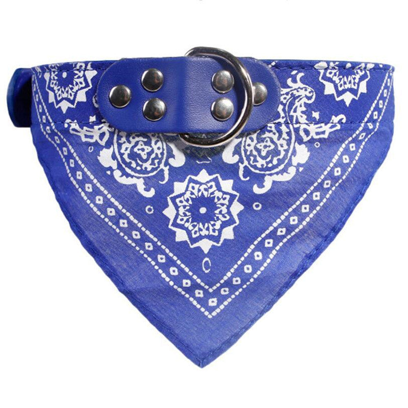 Dog Collar With Scarf