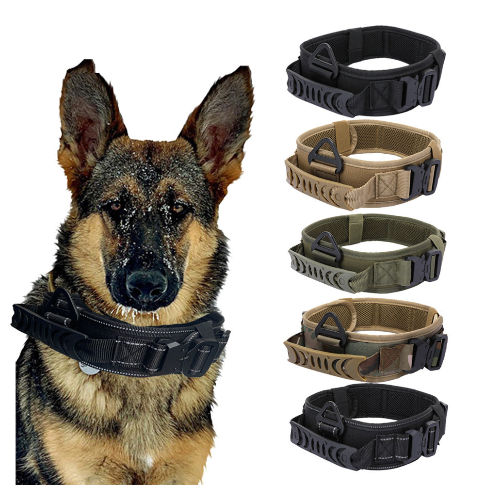 Quick Release Metal Buckle Outdoor Dog collar