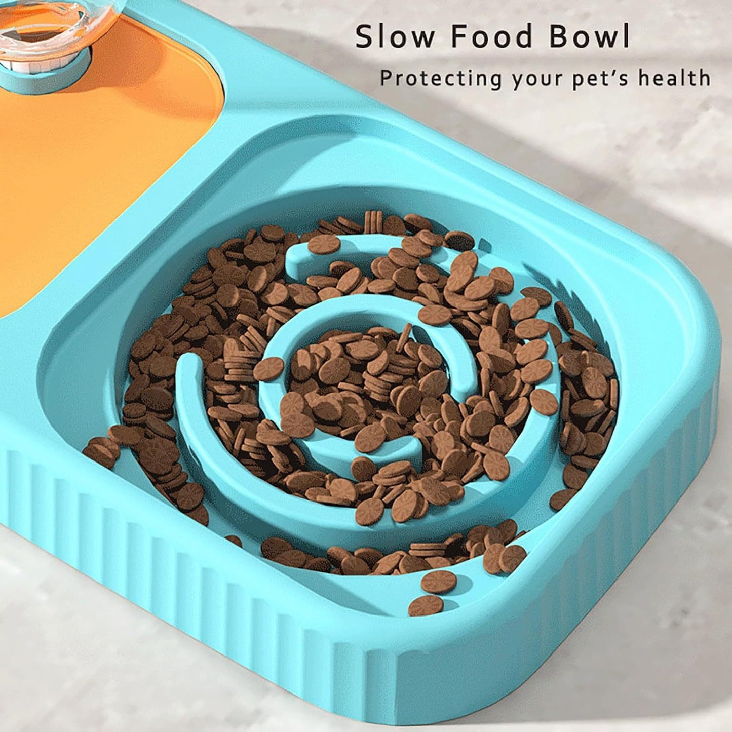 Food And Water Bowl