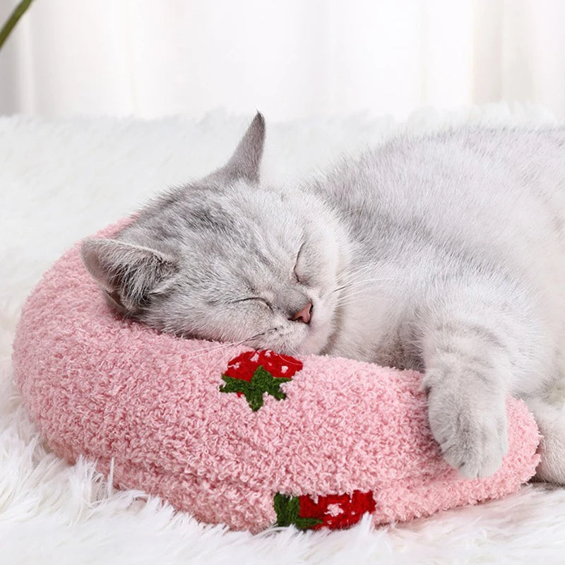 Little Pillow For Your small Furry Friend